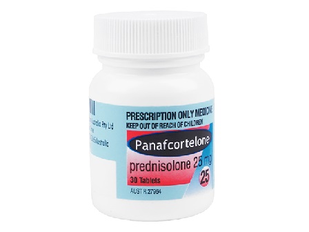 Panafcortelone（パナフコルテロン 25mg）