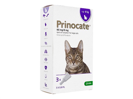PrinoPrinocate For Cats（プリノケート猫用 (>4-8kg)）cate For Cats (4-8kg)